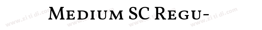蒙纳凌慧体 Medium SC Regu字体转换
